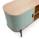 Mueble Tv Mónaco 2 puertas Mueble Tv Mónaco 2 puertas Azul/ Verde