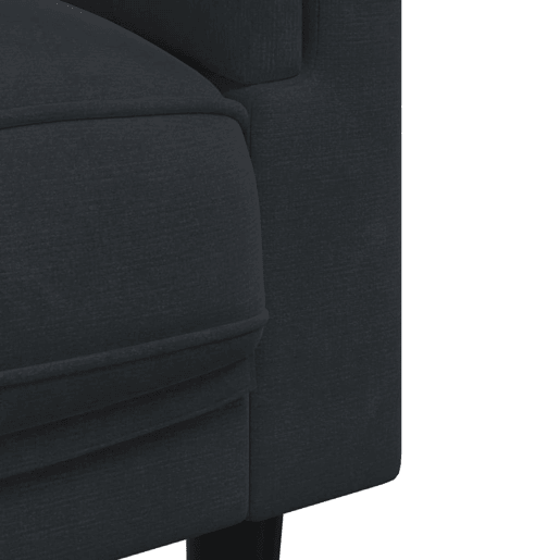 vidaXL 2 pcs conjunto de sofás com almofadas veludo preto