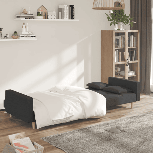 Sofá-cama, Sofá conversível 2 lugares com duas almofadas tecido cinzento-escuro