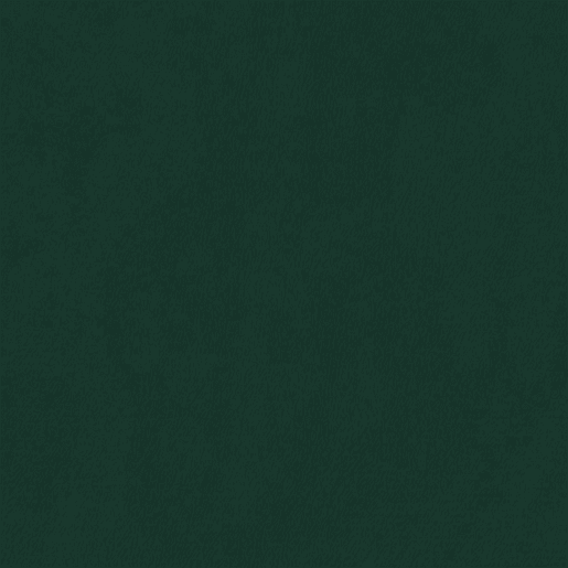 vidaXL Sofá 2 lug. c almofadas decorativas 120 cm veludo verde-escuro vidaXL Sofá 2 lug. c almofadas decorativas 120 cm veludo verde-escuro