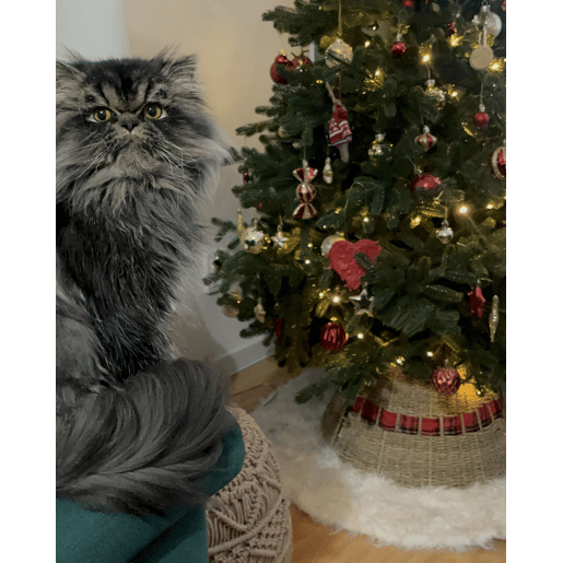 Saia para árvore de Natal MARCHE Alga Natural 45 cm