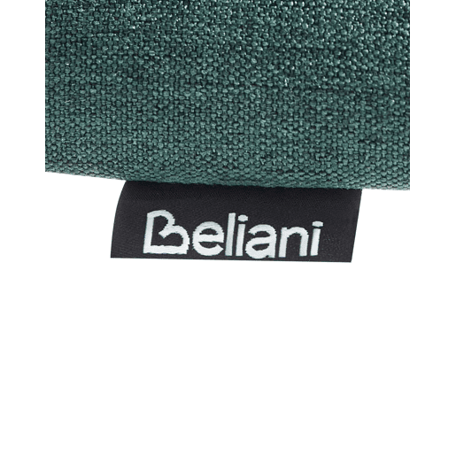 Conjunto de 2 cadeiras de jantar ANDOVER Metal Verde