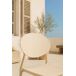 Silla Bután Silla Bután Beige