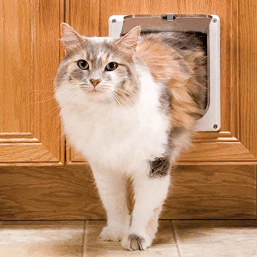 Porta Well Home Pet 19,2x20x5,3cm em branco