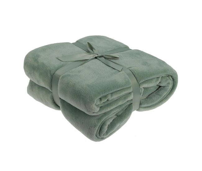 Well home manta polar coral de 250 gsm, 100% poliéster color verde claro