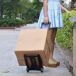 Well Home Carrito de Soporte en acero y PP con correa Well Home Carrito de Soporte en acero y PP con correa Negro