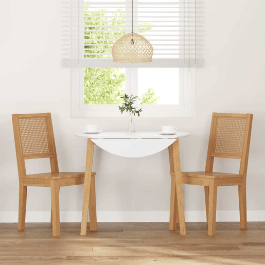 vidaXL Cadeiras de jantar 2 pcs madeira de seringueira maciça