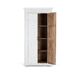 Armario 2 puertas fabricadoa mano en madera de mango Armario 2 puertas fabricadoa mano en madera de mango Blanco