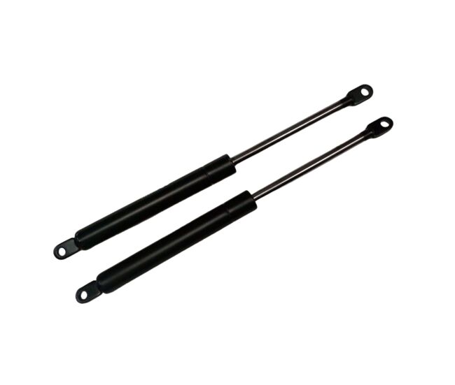 Juego amortiguadores de gas para canapé abatible (1250 newton, 2)
