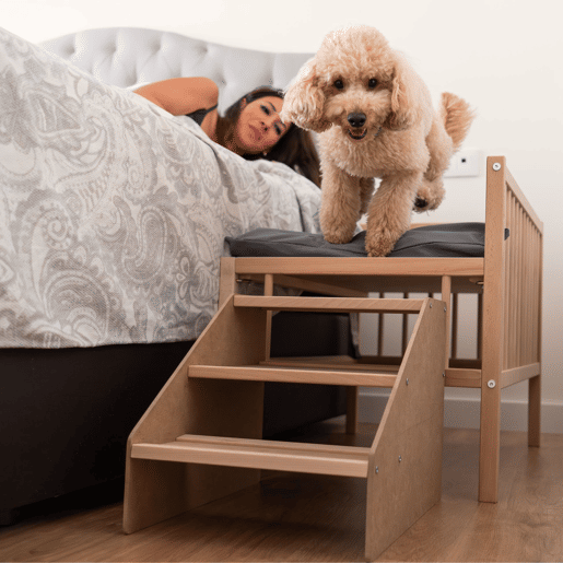 Cama para cão, gato, animal de estimação. Cama de madeira elevada com degrau. Com colchão de espuma viscoelástica Ortoflex. 2 alturas. Faunatic impermeável