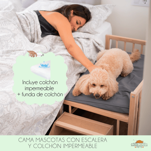 Cama para cão, gato, animal de estimação. Cama de madeira elevada com degrau. Com colchão de espuma viscoelástica Ortoflex. 2 alturas. Faunatic impermeável