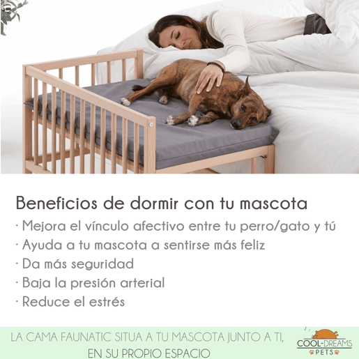 Cama para cão, gato, animal de estimação. Cama de madeira elevada com degrau. Com colchão de espuma viscoelástica Ortoflex. 2 alturas. Faunatic impermeável