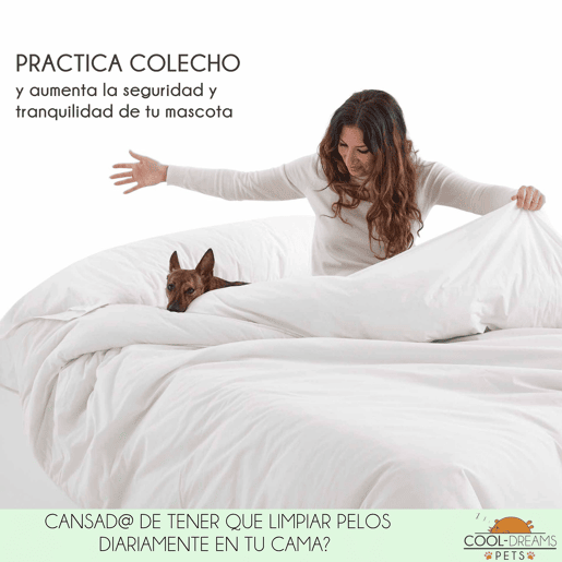 Cama para cão, gato, animal de estimação. Cama de madeira elevada com degrau. Com colchão de espuma viscoelástica Ortoflex. 2 alturas. Faunatic impermeável