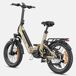 Bicicleta Eléctrica ENGWE L20 3.0 PRO - Motor 250W Batería 48V15AH Bicicleta Eléctrica ENGWE L20 3.0 PRO - Motor 250W Batería 48V15AH Dorado
