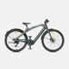 E-bike ENGWE N1 PRO - Motor 250W Batería 36V10Ah E-bike ENGWE N1 PRO - Motor 250W Batería 36V10Ah Verde