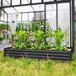 Jardinera Elevada Acero Galvanizado Outsunny Jardinera Elevada Acero Galvanizado Outsunny Gris