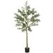 Olivo Artificial Seda HOMCOM, hogar - decoración Olivo Artificial Seda HOMCOM, hogar - decoración Verde