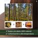 Fuente de Agua Madera de Abeto, Plástico Outsunny Fuente de Agua Madera de Abeto, Plástico Outsunny Marrón