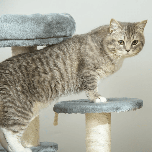 PawHut Árvore Arranhador para Gatos Ø40x65 cm com 3 Níveis Cama Plataformas em Pelúcia Corda Suspensa e Poste com Corda de Sisal Cinza PawHut Árvore Arranhador para Gatos Ø40x65 cm com 3 Níveis Cama Plataformas em Pelúcia Corda Suspensa e Poste com Corda de Sisal Cinza