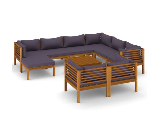 Muebles de jardín 10 piezas cojines madera maciza de acacia