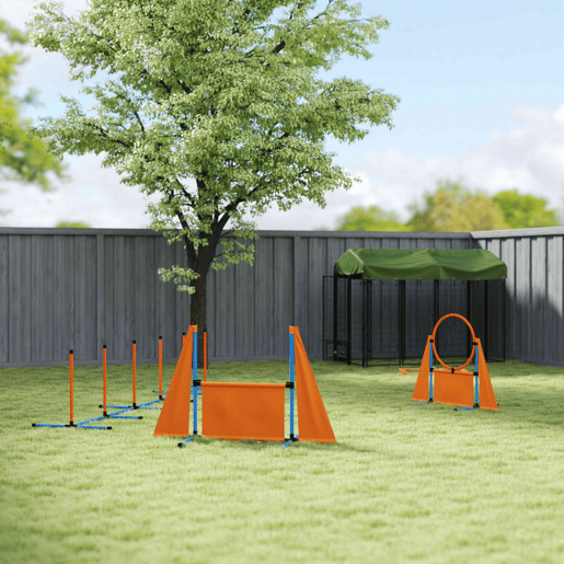 PawHut Conjunto de Treino de Agilidade para Cães de 6 Peças Conjunto Agility para Cães com Piquetes para Slalom Zona de Descanso Barreira Anel de Salto e Bolas Laranja