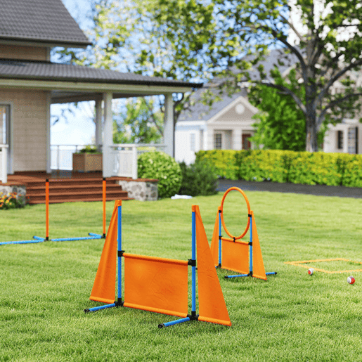 PawHut Conjunto de Treino de Agilidade para Cães de 6 Peças Conjunto Agility para Cães com Piquetes para Slalom Zona de Descanso Barreira Anel de Salto e Bolas Laranja