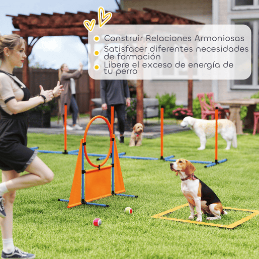 PawHut Conjunto de Treino de Agilidade para Cães de 6 Peças Conjunto Agility para Cães com Piquetes para Slalom Zona de Descanso Barreira Anel de Salto e Bolas Laranja