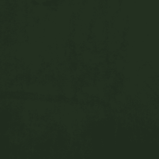 undefined undefined