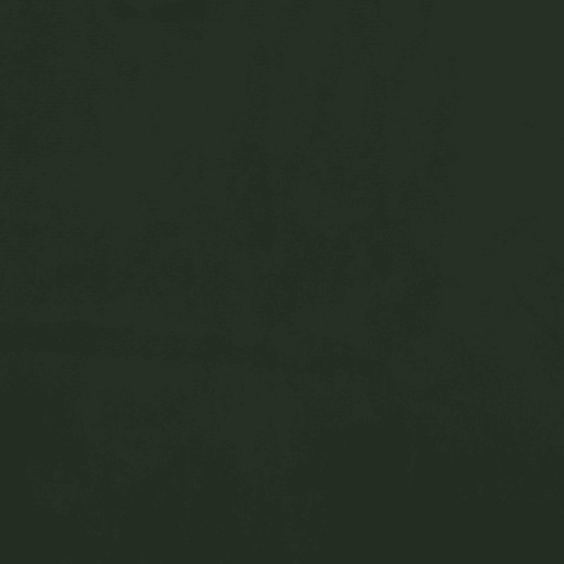 vidaXL Bancos de bar 2 pcs veludo verde-escuro vidaXL Bancos de bar 2 pcs veludo verde-escuro