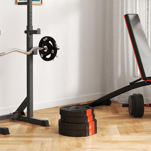 SPORTNOW Conjunto de Discos de Pesos de 4 Peças Discos de Pesos 2x10 kg e 2x5 kg com Orifícios de 2,5 cm para Treino Fitness em Casa Ginásio Preto