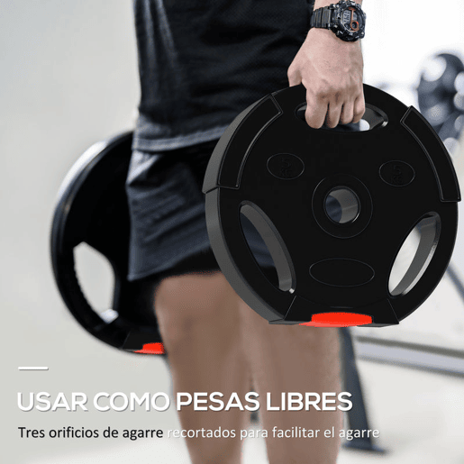 SPORTNOW Conjunto de Discos de Pesos de 4 Peças Discos de Pesos 2x10 kg e 2x5 kg com Orifícios de 2,5 cm para Treino Fitness em Casa Ginásio Preto