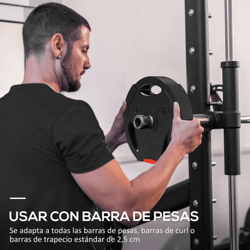 SPORTNOW Conjunto de Discos de Pesos de 4 Peças Discos de Pesos 2x10 kg e 2x5 kg com Orifícios de 2,5 cm para Treino Fitness em Casa Ginásio Preto