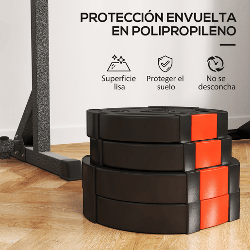 SPORTNOW Conjunto de Discos de Pesos de 4 Peças Discos de Pesos 2x10 kg e 2x5 kg com Orifícios de 2,5 cm para Treino Fitness em Casa Ginásio Preto