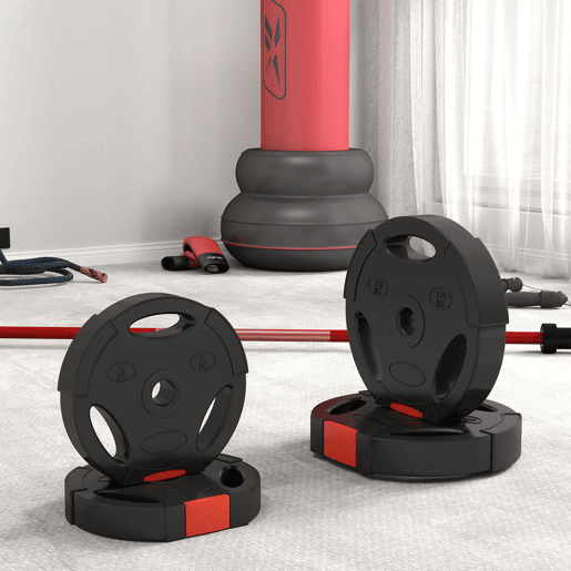 SPORTNOW Conjunto de Discos de Pesos de 4 Peças Discos de Pesos 2x10 kg e 2x5 kg com Orifícios de 2,5 cm para Treino Fitness em Casa Ginásio Preto