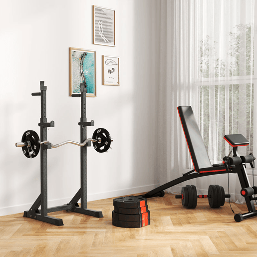 SPORTNOW Conjunto de Discos de Pesos de 4 Peças Discos de Pesos 2x10 kg e 2x5 kg com Orifícios de 2,5 cm para Treino Fitness em Casa Ginásio Preto
