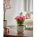 Beliani Planta artificial NOVELLA Beliani Planta artificial NOVELLA Rosa
