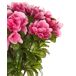 Beliani Planta artificial NOVELLA Beliani Planta artificial NOVELLA Rosa