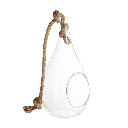 Well Home Glass Drop + Corda H25