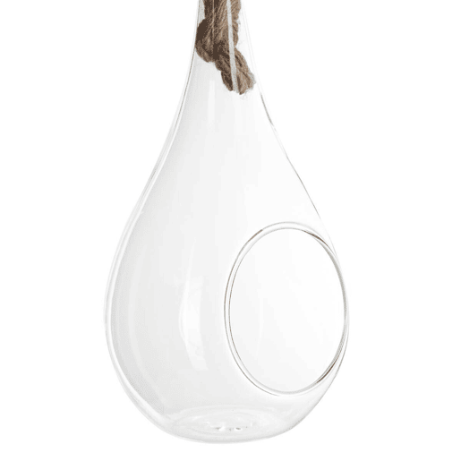 Well Home Glass Drop + Corda H25