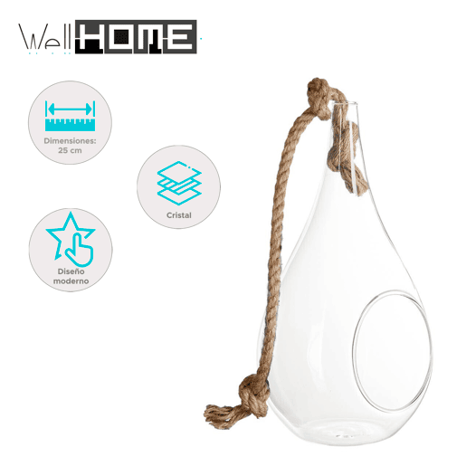 Well Home Glass Drop + Corda H25