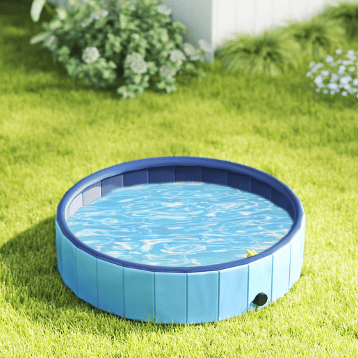 PawHut Piscina para Cães Dobrável com Aspersor Piscina Portátil para Animais de Estimação Médios em PVC Antiderrapante e Resistente ao Desgaste para Interiores e Exteriores Ø100x30 cm Azul Claro