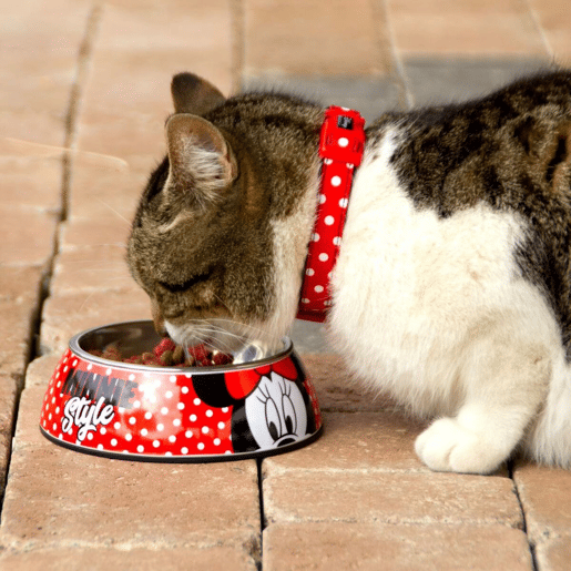 Comedouro para Cão Minnie Mouse Vermelho Melamina 180 ml
