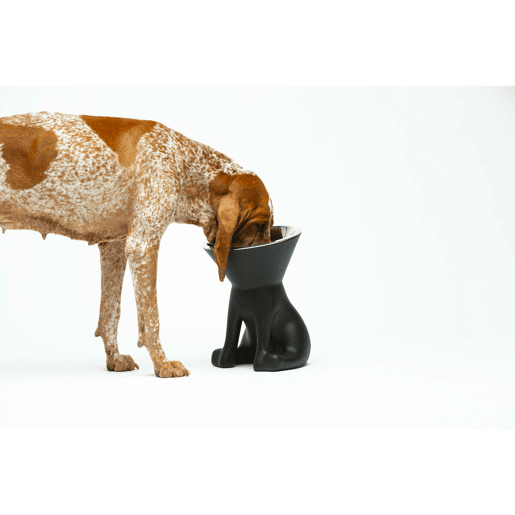 Comedouro para Cão United Pets Up Elisabeth Preto Aço inoxidável Polietileno 1 L