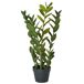 Beliani Planta artificial ZAMIIFOLIA Beliani Planta artificial ZAMIIFOLIA Verde