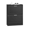 SoBuy Zapatero con 2 Solapas Armario de Entrada Zapatero Organizador 60 x 25 x 80 cm Negro FSR137-SCH