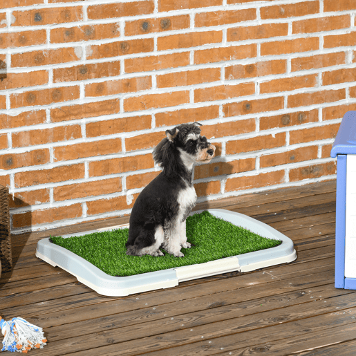 PawHut Sanita para Cães com Relva Artificial Grade e Bandeja Desmontável para Adestramento de Cães em Exterior e Interior 63x48,5x6 cm Multicor