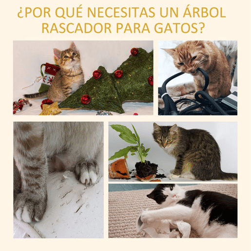 PawHut Árvore Arranhadora para Gatos Arranhador para Fixar ao Teto Altura Ajustável com Plataformas Poste de Sisal 40x34x230-260cm Cinza PawHut Árvore Arranhadora para Gatos Arranhador para Fixar ao Teto Altura Ajustável com Plataformas Poste de Sisal 40x34x230-260cm Cinza