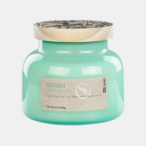 Vela Perfumada DELIGHT BLISS Cera de soja Notas frescas