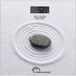 Báscula Digital de Baño Zen Báscula Digital de Baño Zen Multicolor