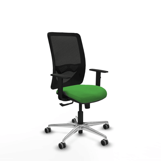 Cadeira de Escritório Zulema Piqueras y Crespo 1D086G0 Verde